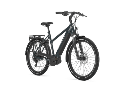 Gazelle Medeo T10