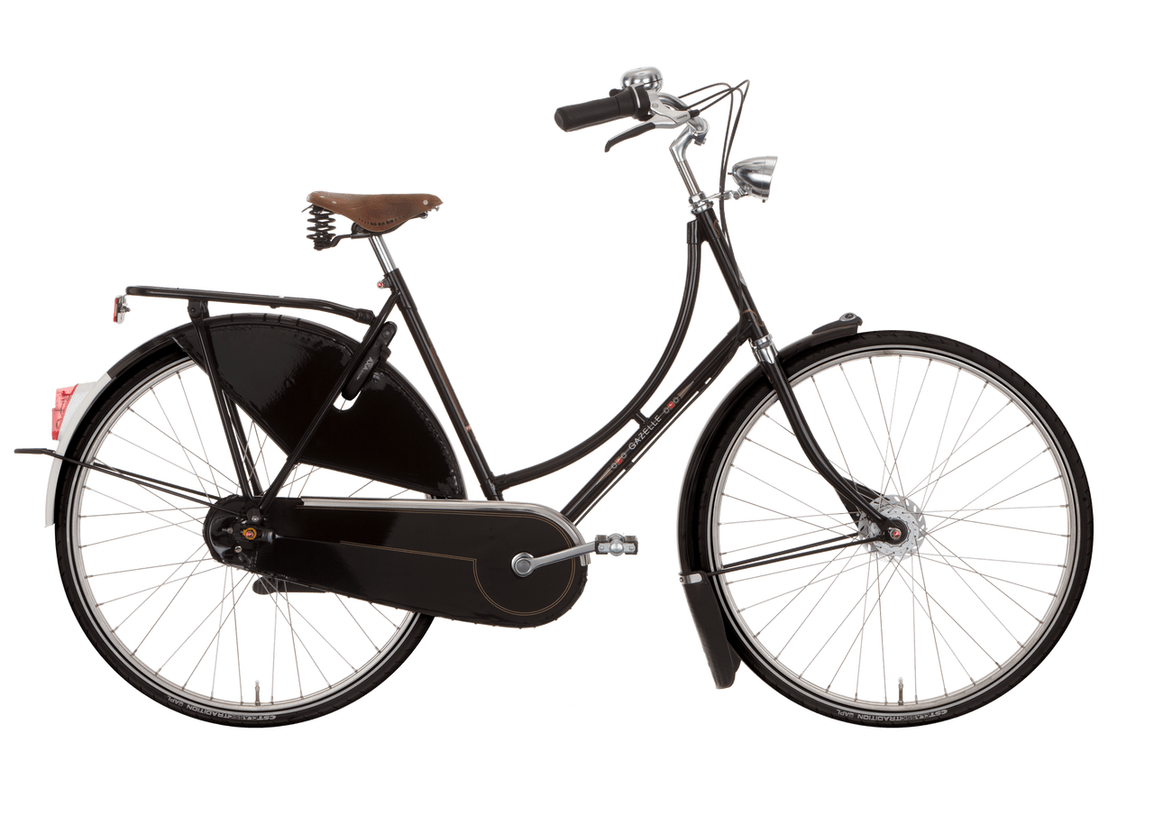 Gazelle Tour Populair C8