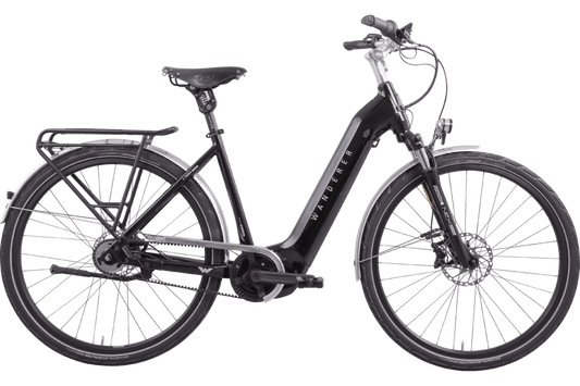 Wanderer E-Tourer I-F5